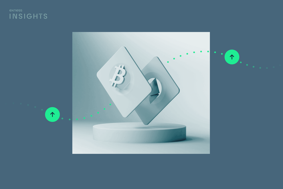 Comprehensive Insights on Exness Forex Broker