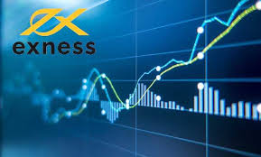 Discover the Power of Exness Social Trading Discover the Power of Exness Social Trading
