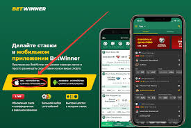 Exploring Betwinner A Comprehensive Guide